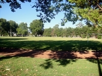 Le stade Roumanille (Pelouse) terrain d'entrainement du club